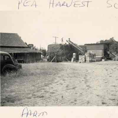 [Agricultural Photos]