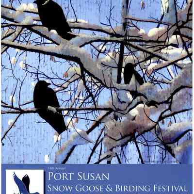 14th Annual Port Susan Snow Goose & Birding Festival
