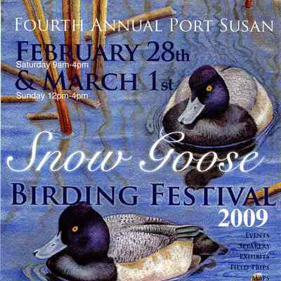 Fourth Annual Port Susan Snow Goose Birding Festival 2009