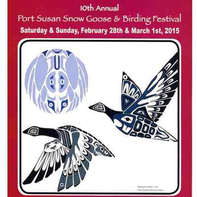 10th Annual Port Susan Snow Goose & Birding Festival