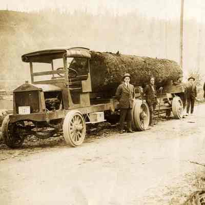 Logging Photos II