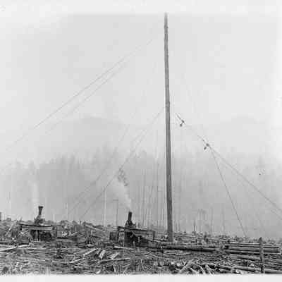Logging Photos III