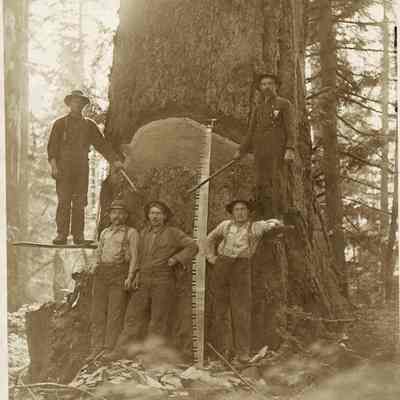 Logging Photos