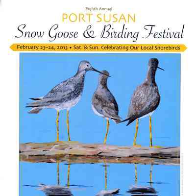 Eighth Annual Port Susan Snow Goose & Birding Festival