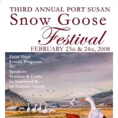 Third Annual Port Susan Snow Goose Festival 2008