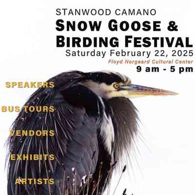 Stanwood Camano Snow Goose & Birding Festival, 2025