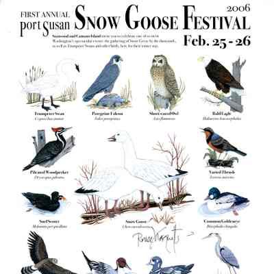 First Annual Port Susan Snow Goose Festival 2006