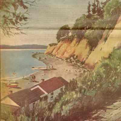 Camano Island Scene