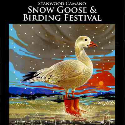 Stanwood Camano Snow Goose & Birding Festival