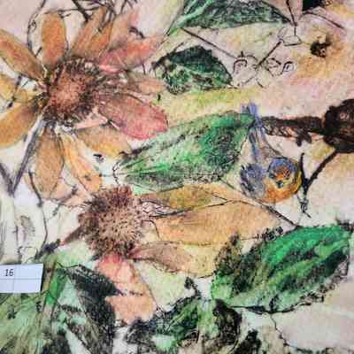 Fall: Mexican Sunflower, Bluebird