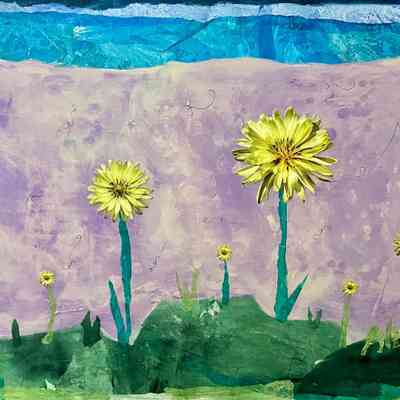 Dandelion Daydreams