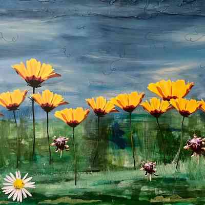 Among the Wildflowers
