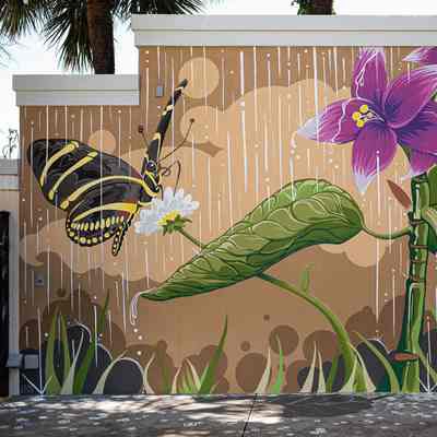 Creative Refuge