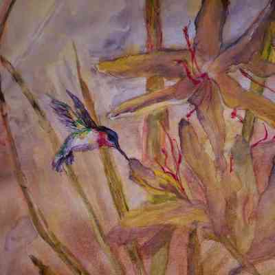 Spring: Daylilies, Hummingbird