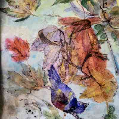 Winter: Florida Red Maple, Blue Bird