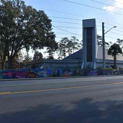 The Water and Wildlife of the Ocklawaha River