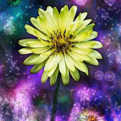 Day 13 Space Dandelions