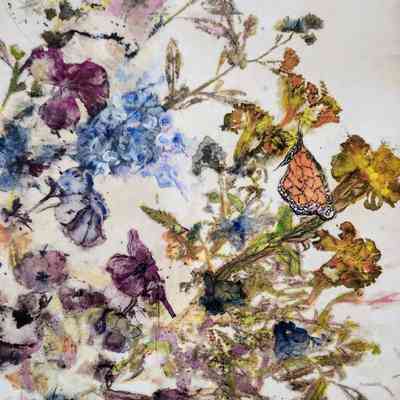 Spring: Wildflowers, Marigolds, Viceroy