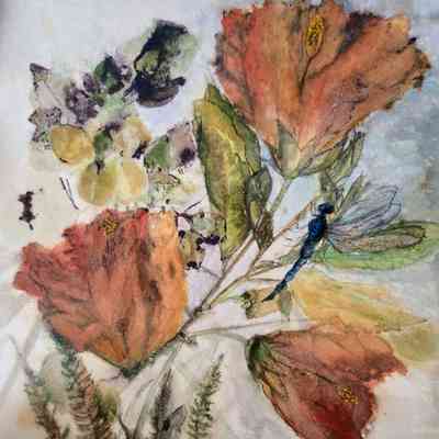 Summer: Hibiscus, Dragonfly