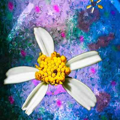 Day 10 Floating Flowers