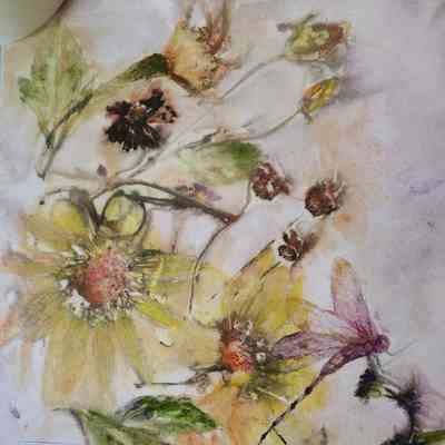 Fall: Mexican Sunflower, Dragonfly