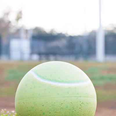 Fort King Tennis Ball