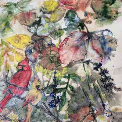 Winter Coleus Blooms, Cardinal Pair