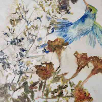 Summer: Florida Grounded Bush, Marigolds, Hummingbird