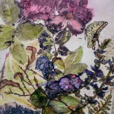 Spring: Roses, Coleus, Swallowtail