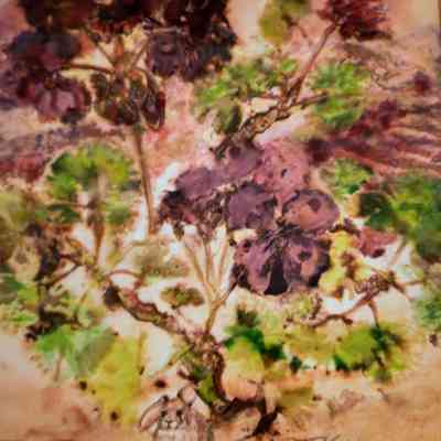 Spring: Geranium, Young Rabbit