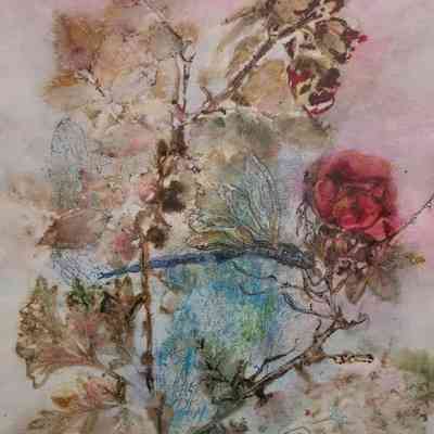 Summer: Roses, Dragonfly