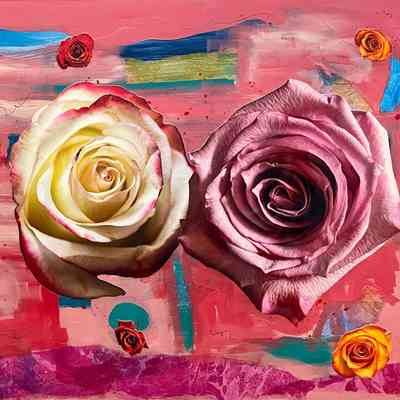 Roses Are
