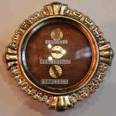 Mary, from the tree in which she appeared at Fatima