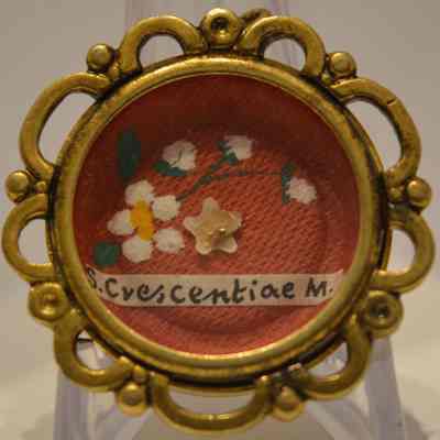 Crescentia, M
