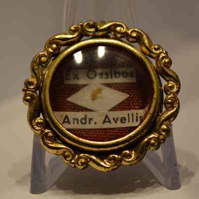 Andrew Avellino