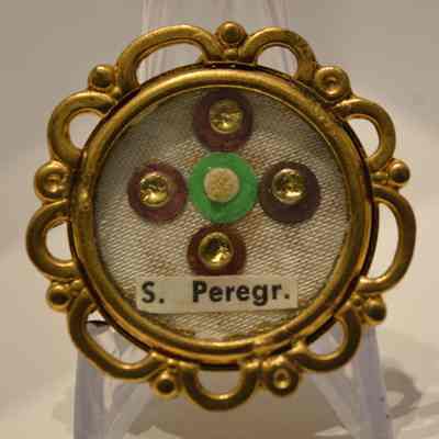 Peregrine, M