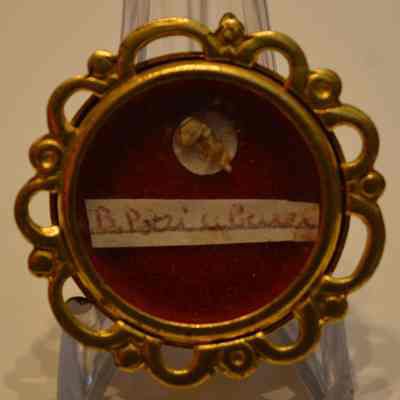 Peter of the Cross, B