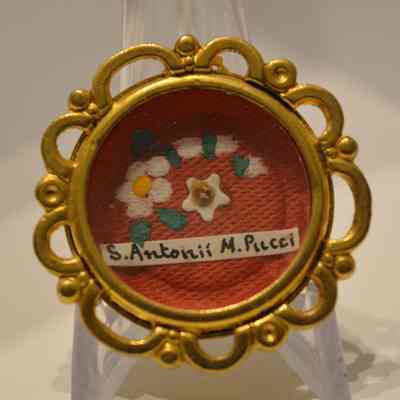 Anthony M. Pucci