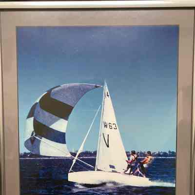 Australian 14' Champion