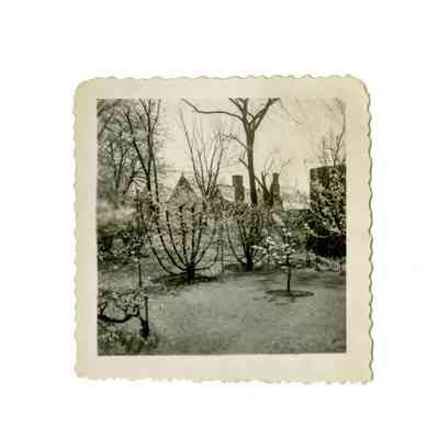 Andrews Estate Hemlock Drive A