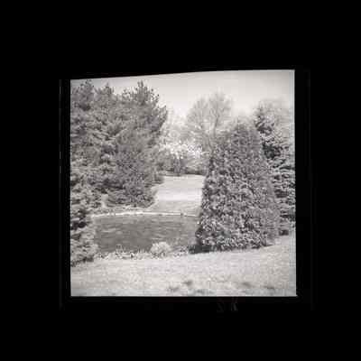 Rawolle Estate Byram Drive Negative C