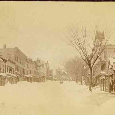 Sleigh on Greenwich Avenue