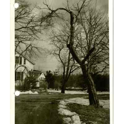 Kinney Estate Storm Damage Cherry Valley Road A