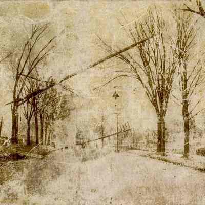 Downed Telegraph Poles in Ice Storm B