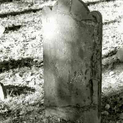 Messenger Palmer Grave