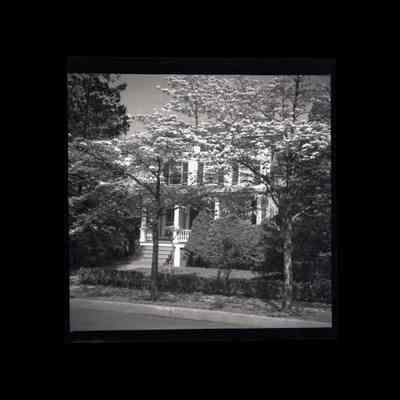 83 William Street Negative B