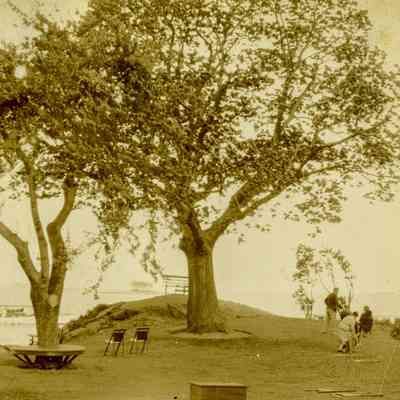 Shore Island
