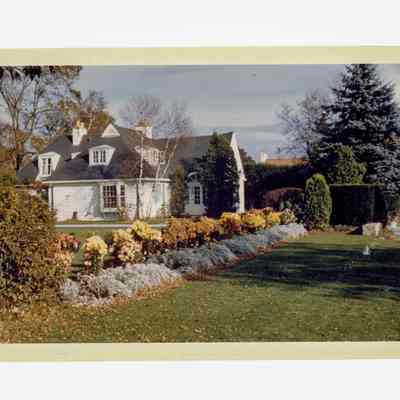 Reynes Estate Meadowbank Road A