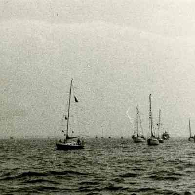 Sailboats on the Water A