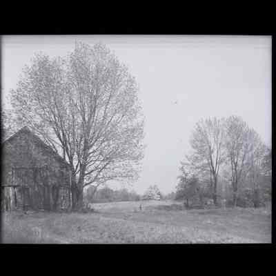 Mead Estate Round Hill Road Negative D